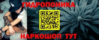 шишки Гусь-Хрустальный