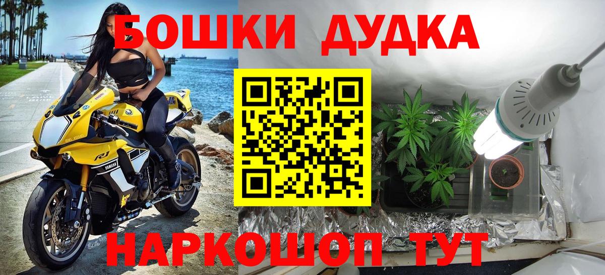 Кинель  МАРИХУАНА White Widow  Канабис тримм  Марихуана план  Вход с VPN 